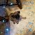 Roxanne Ihle Scott's profile image