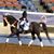 Lina Reis's profile image