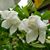 Ruth Ann Rosamond's profile image