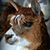 Christy Pace's profile image