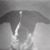 Madeline Rosenberg's profile image