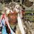 Basma Samira's profile image