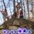 Jennifer Bomberry's profile image