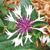 Deb Yoder's profile image