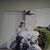 Richard Monahan's profile image