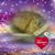 Lesa Oliver's profile image