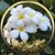 Vicki M. Dickert's profile image