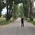 Brayton Knecht's profile image