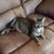 Patty Bohn's profile image