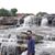 Nitish Gadivaddar's profile image