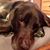 Sandee Blakeley's profile image