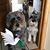 Cheryl Calarese's profile image