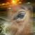 Barbara Stadler's profile image