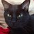 Beth Oliver's profile image
