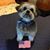 Paula Perez's profile image