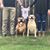 Wendy Culp's profile image