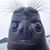Jason Thibault's profile image
