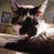Bruce Klink's profile image