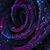 Lisa Pinto Bishop's profile image