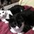 Theresa Sheryl Gragg's profile image