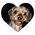 Jennifer Kohrs's profile image