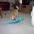 Gloria McCormick's profile image