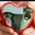 Teri Gallagher's profile image