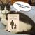 Colleen A Parkinson Author's profile image