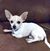 MaryJo Benavidez's profile image
