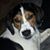 Trina Richey's profile image