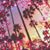 Maryann Jimenez's profile image