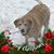 Dave E Jr Hanyon's profile image