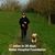 Steve Worline's profile image