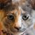 Bonita Voigt's profile image