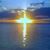Michele Gray's profile image
