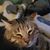 Jill A Strobel's profile image