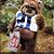Dennis Montez's profile image