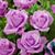 Margaret Richardson's profile image