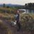 Emily Dove Barton's profile image