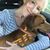 Elaine Seamans's profile image