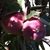 Maria Barbosa's profile image
