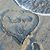 Tanya Brogren's profile image