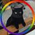 Julie Sciarra's profile image
