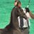 Sandra Dyer's profile image