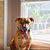 Sandy Shnay's profile image