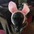 Patsy Moore's profile image