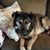 Marilyn Irmer Kisicki's profile image