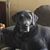 John Warner's profile image