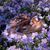 Juanita Millat-Hott's profile image