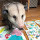 Syd H.'s profile image